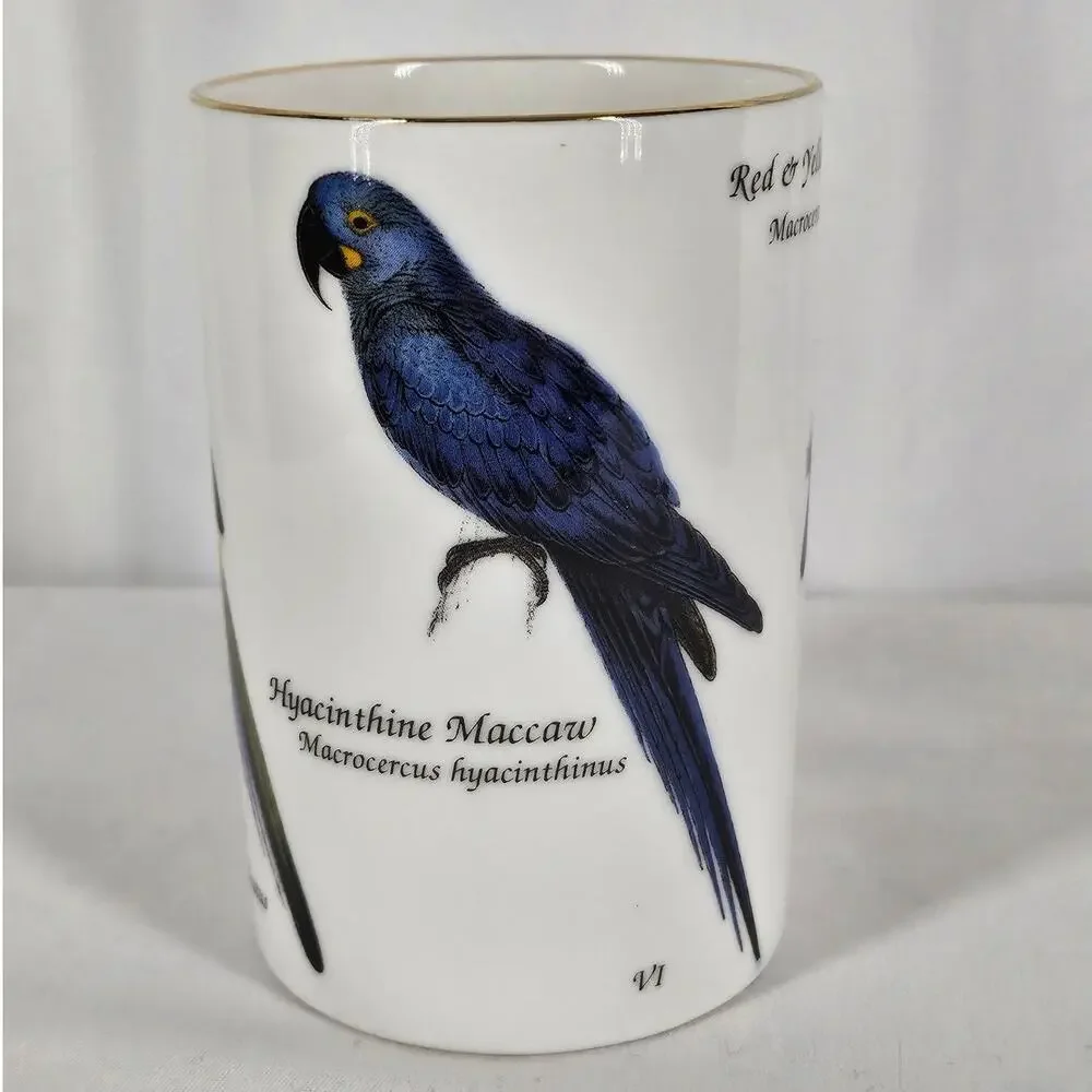 STAFFORDSHIRE VINTAGE TABLEWARE MUG – XII, VI, LXV PARROTS & PARAKEETS SERIES